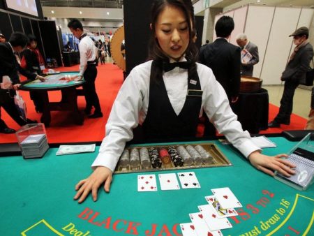 THE JAPANESE GOVERNMENT IS READY TO OPEN A CASINO